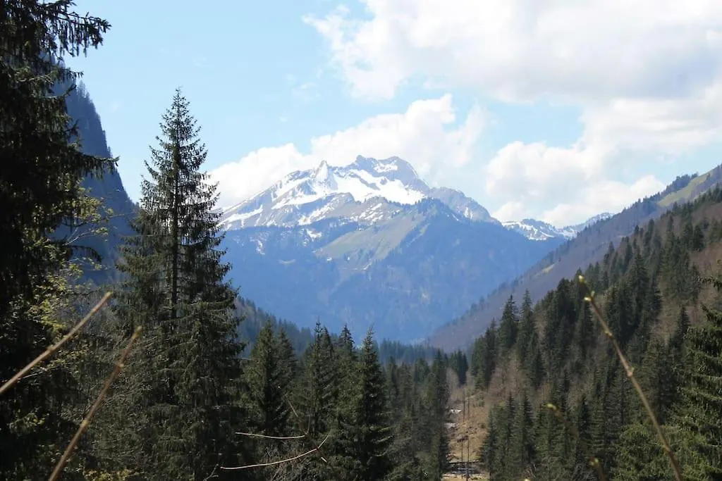 Chalet Avenir Saint-Jean-d'Aulps 0*,